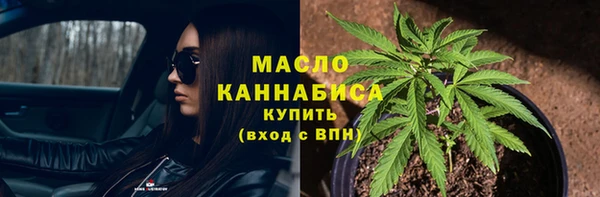 мет Алексин