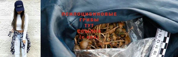 apvp Алзамай