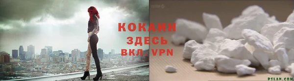 apvp Алзамай