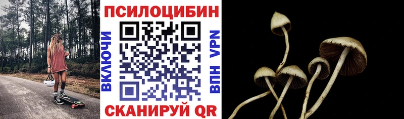 купить цена Карачаевск Псилоцибиновые грибы MAGIC MUSHROOMS
