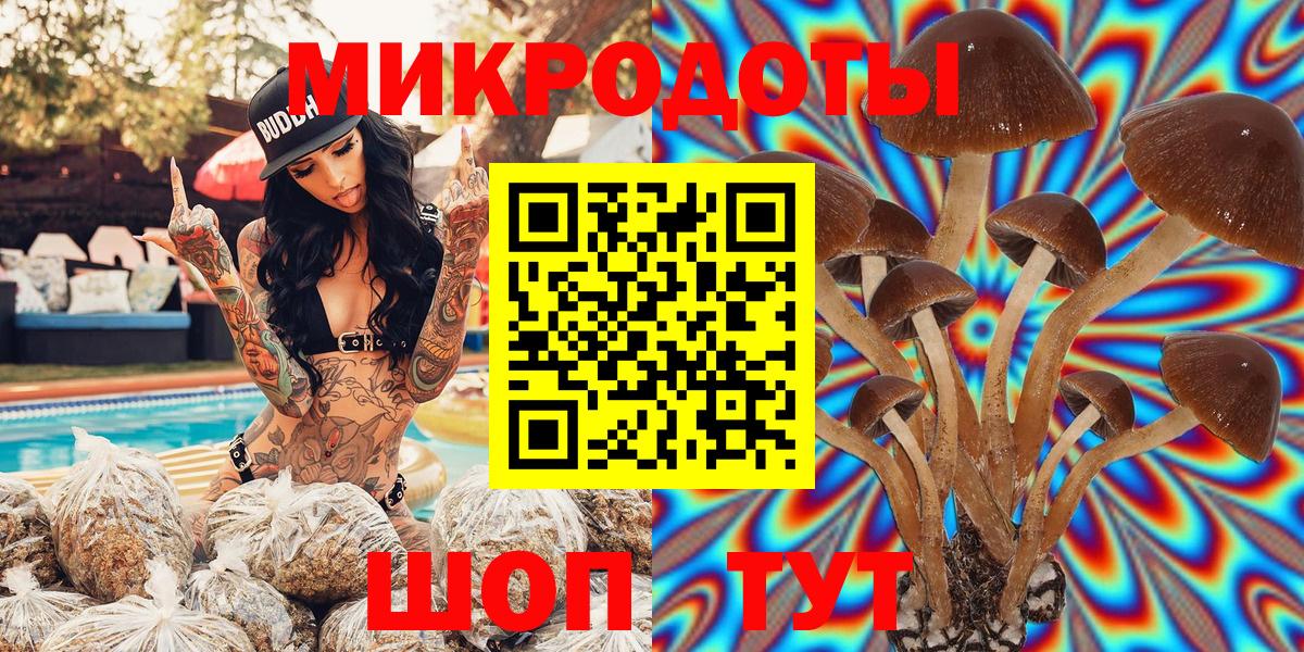 Галлюциногенные грибы мицелий  Вход с VPN  Карачаевск 